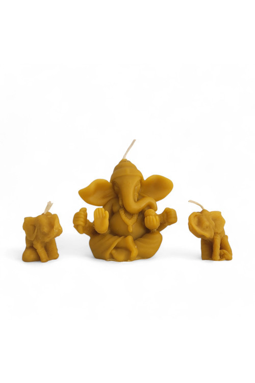 Bal Mumu Ganesha ve İkili Küçük Fil Set