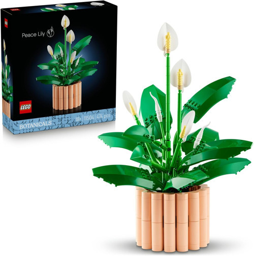 ® Botanicals Barış Çiçeği 11504 - Yetişkin Kadınlar Ve Erkekler İçin Farklı Aşamalarda 6 Barış Çi