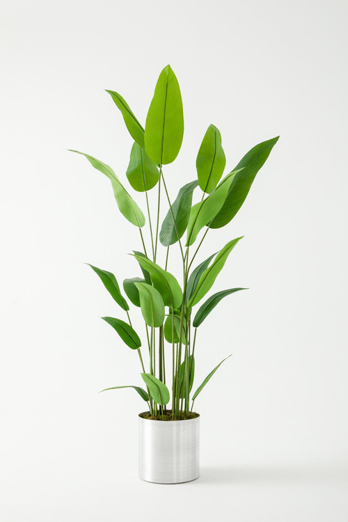 Yapay Starliçe Ağacı 200 Cm (Saksısız)