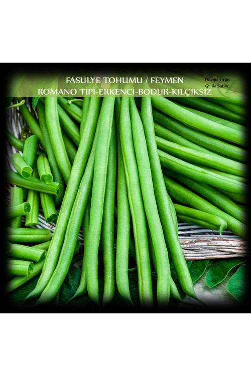Özel Feymen Fasülye Tohumu 100 Gr (350+ Adet) Kılçıksız Fasulye Tohumu