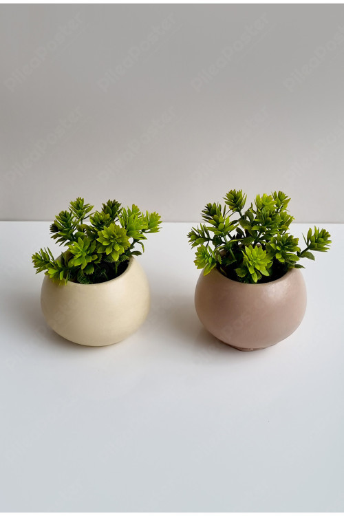 2li Vazo Yapay Çiçekli|Plastik Çiçekli Saksı|Krem Rengi|Kahverengi|Yapay Sukulent Saksı|Yapay Bitki