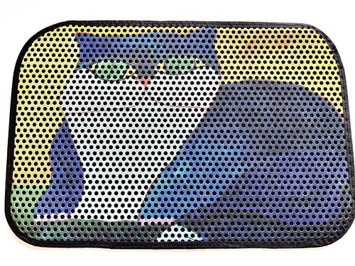 Evcil Hayvan Kedi Tuvalet Paspası