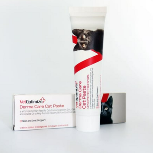 Derma Care Cat Pasta 100 gr | Kedi Tüy Dökülmesini Önleyen, Parlaklık Veren Biotin & Çinko Macunu