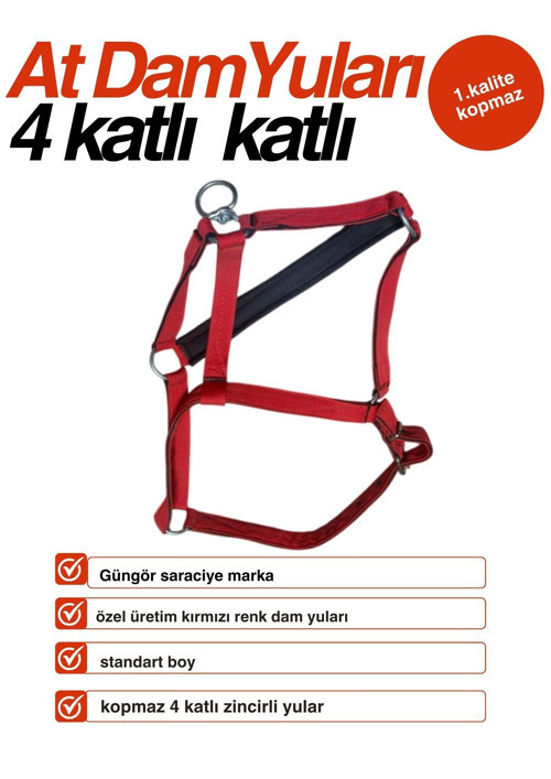 At 4 kat dam yuları kırmızı standart boy