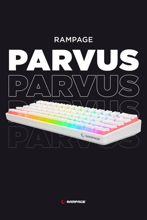 KB-R135 PARVUS Beyaz Type-C Bağlantılı RGB Puding Tuşlu Brown Switch US Gaming Oyuncu Klavye