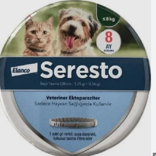 Serest0 38 cm Kedi ve Küçük Irk Köpek (≤8 kg) Tasması | 8 Ay Etkili Pire ve Kene Önleyici
