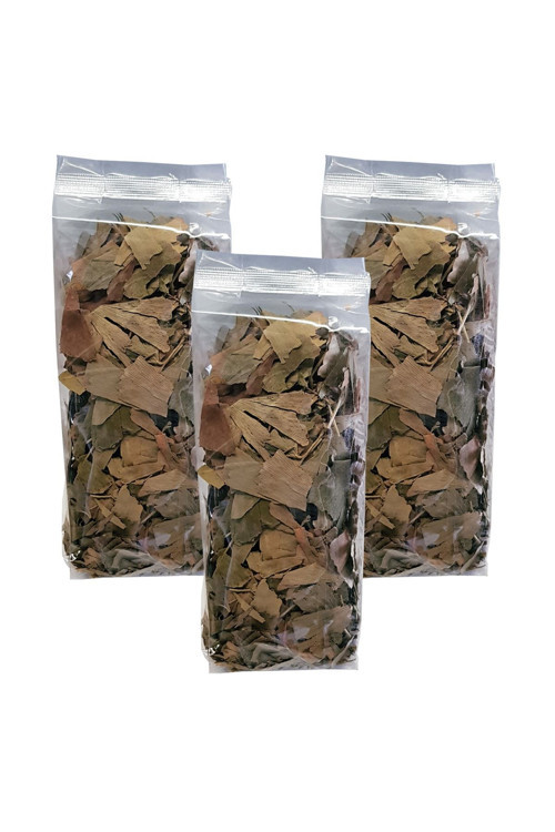 Ginkgo Biloba Bitkisi 3 Paket Ginko Biloba Çayı Kurutulmuş Ginkgo Biloba Bitki Ginkgo Biloba Yaprağı