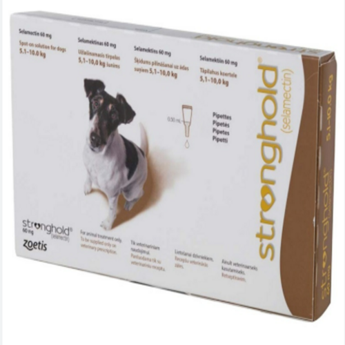 Stronghold 60 mg (5-10 kg) Köpek Damlası | Pire, Kalp Kurdu, Uyuz ve İç Parazit Önleyici Pipet