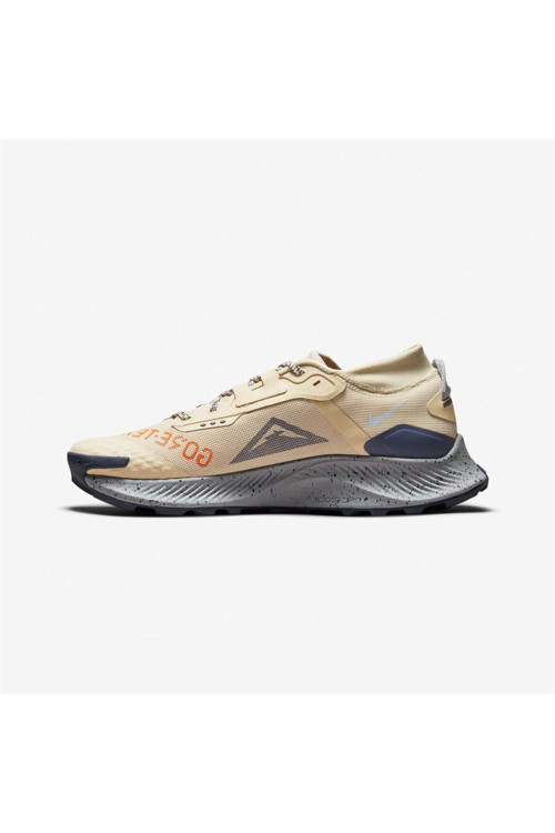 Pegasus Trail 3 Gore-Tex Erkek Outdoor Ayakkabı