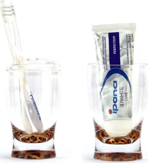 Diş Fırçalık Ve Macun Kabi 2 Li Banyo Seti,Leopar Akrilik L