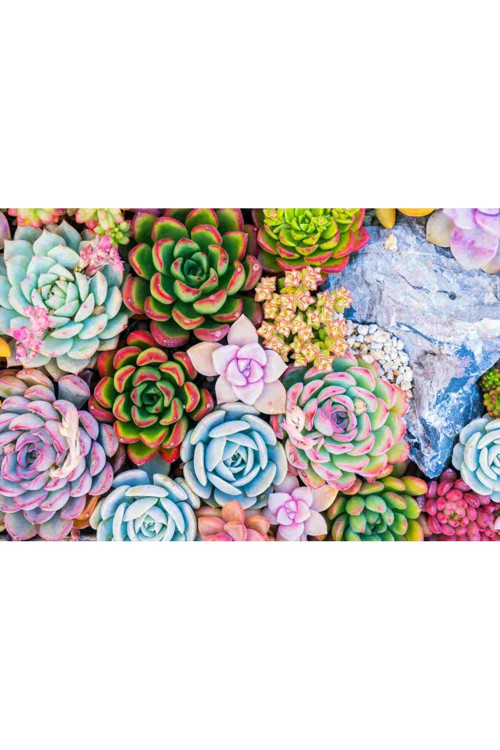 13 Litre Sulukent Ekim Ve Bakım Torfu