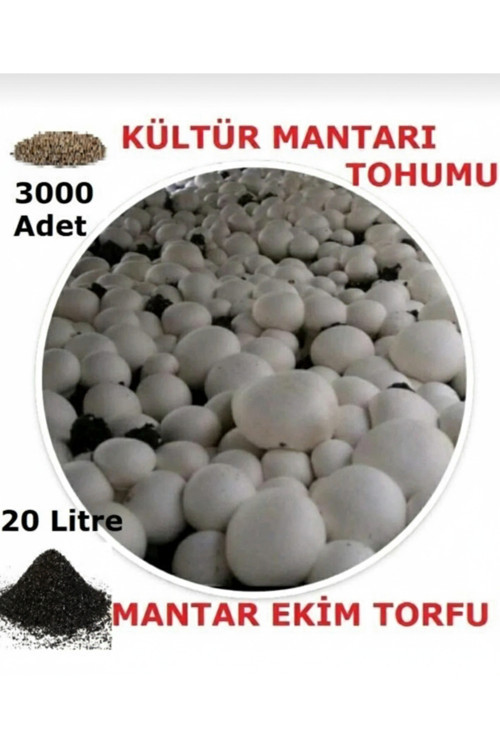 20 Litre Kültür Mantarı Ekim Torfu Ve 3000 Adet Kültür Mantarı Tohumu