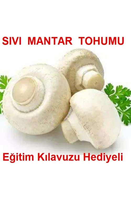 100 Ml Beyaz Şapkalı Kültür Mantarı Miseli (Mantar Tohumu)