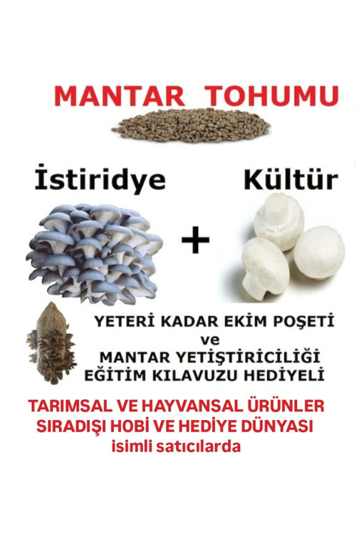 30.000 Adet İstiridye Ve 30.000 Adet Beyaz Şapkalı Kültür Mantarı Tohumu