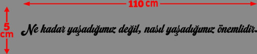 Oto Cam Yazı Sözleri Ticari-Servis-Dolmuş-Panelvan Uzun Sticker Model 10
