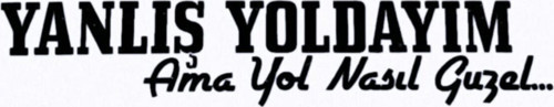 Yanlış Yoldayım Oto Sticker 16*4 Cm