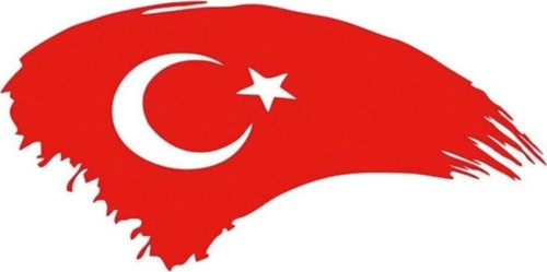 Türk Bayrağı Oto Kapı Cam Kaput Sticker Kırmızı 20 Cm
