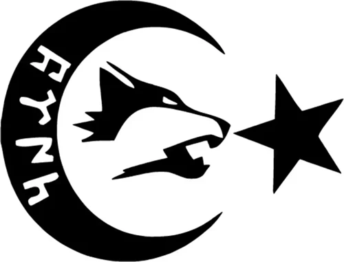 Göktürkçe Ay Yıldız Oto Sticker Siyah 30 X 24 Cm