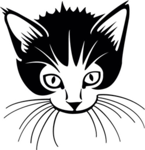 Cingöz Kedi Oto Sticker Siyah 40*40 Cm