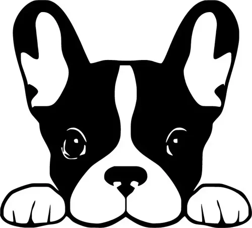 Camdan Bakan Köpek Oto Sticker Siyah 30 X 27 Cm