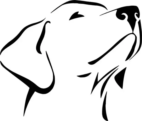 Asil Köpek Oto Sticker Siyah 30 X 27 Cm