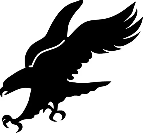 Avlanan Kartal Oto Sticker Siyah 30 X 27 Cm