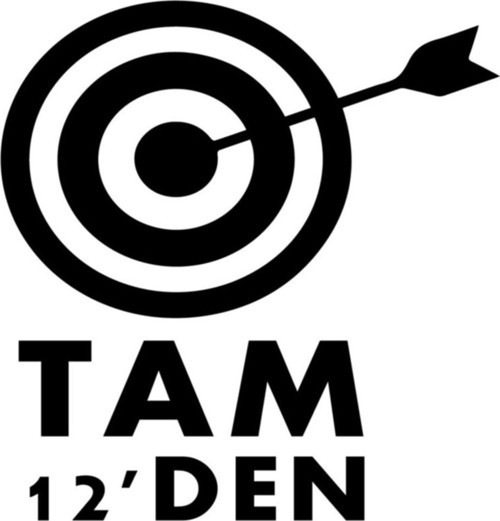 Dart Oto Sticker 25 X 25 Cm