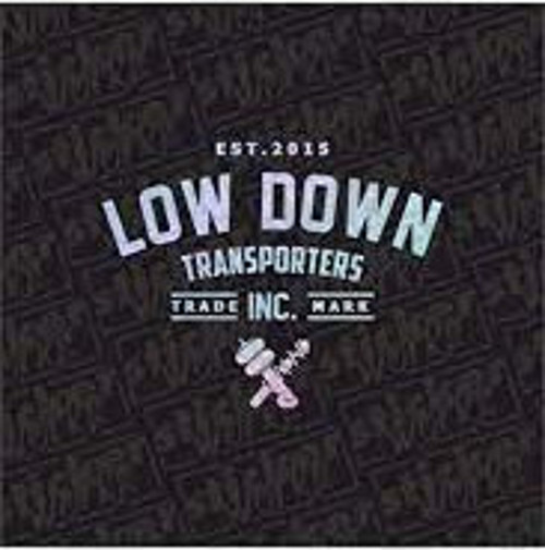Low Down Transporters Arka Cam Hologram Sticker