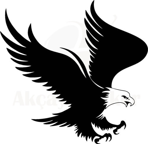 Kartal Oto Sticker 25 X 22 Cm