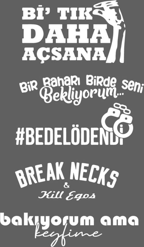 Oto Arka Cam Sticker Model 53 Beyaz 40*20 Cm