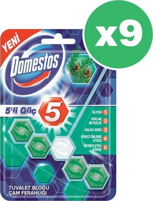 Wc Blok 5'Li Güç Çam Ferahlığı 55 Gr X 9 Adet