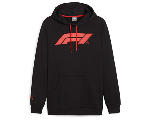 F1 Ess Logo Hoodie Erkek Günlük Sweatshirts 62585301 Siyah