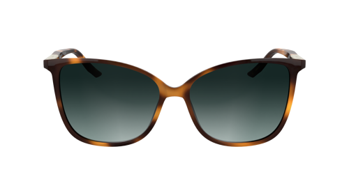 CALVIN KLEIN CK25504S C.240 57-15 Güneş Gözlüğü