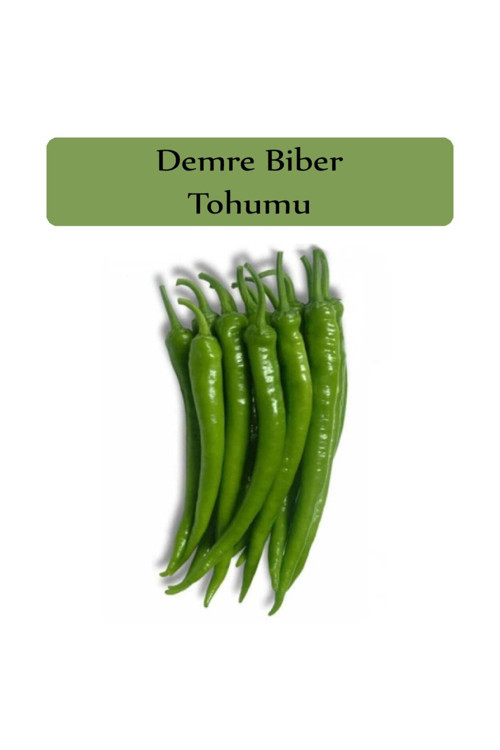 Sera Demre Biber Tohumu 1 Paket Demre Biber Tohumu Kapalı Paket Yüksek Verimli Tohum