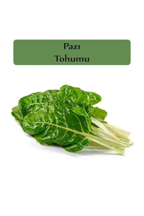 Pazı Tohumu 1 Paket Kapalı Paket Yüksek Verimli Tohum