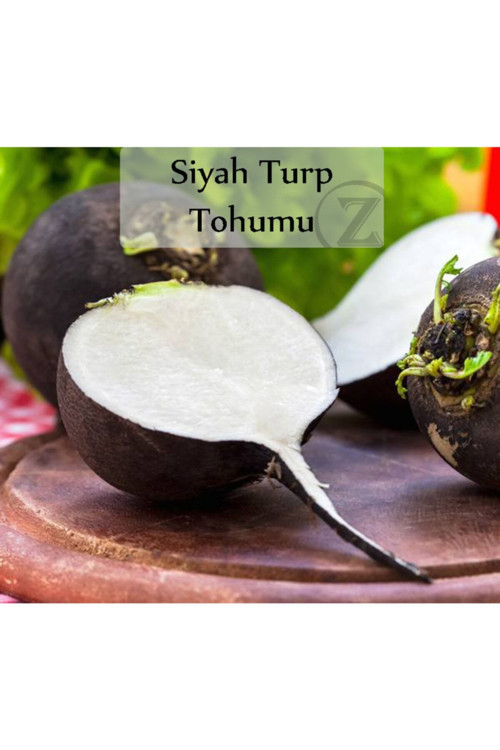 Siyah Turp Tohumu 1 Paket (10gr=1000+ Adet) Turp Tohumu Siyah