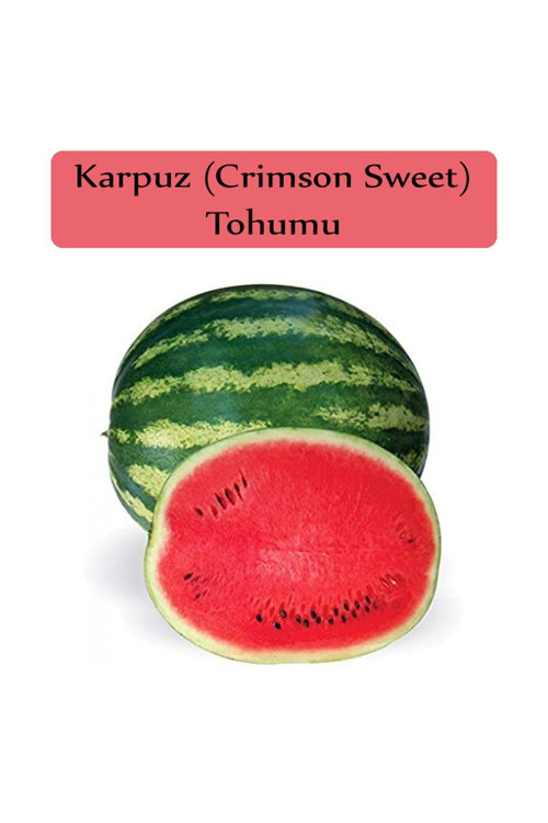 Karpuz Tohumu 1 Paket Crimson Sweet Karpuz Tohumu Kapalı Paket Yüksek Verimli Tohum