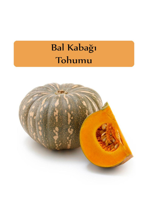 Bal Kabağı Tohumu 1 Paket Kabak Tohumu Kapalı Paket Tohum Ekmek Için Verimli Bal Kabağı