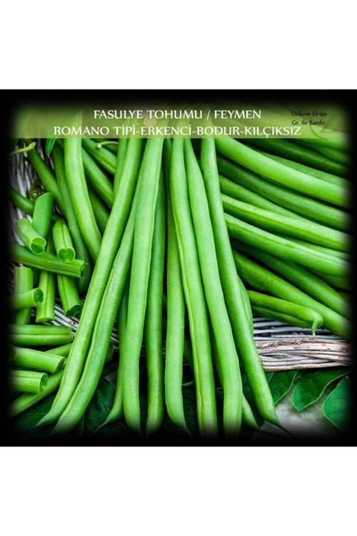 Özel Feymen Fasülye Tohumu 250 Gr (650+ Adet) Kılçıksız Erkenci Bodur Fasulye Tohumu