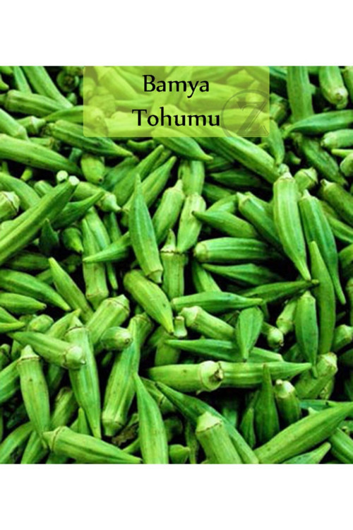 Bamya Tohumu 1 Paket Tohumu Kapalı Paket Tohum Bamya Ekmelik
