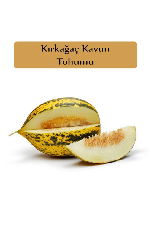 Kırkağaç Kavun Tohumu 1 Paket Kırk Ağaç Kavun Tohumu Kapalı Paket Yüksek Verimli Tohum Sarı Kavun