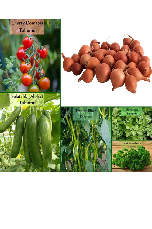 6 Paket Tohum No7 Iska 1 Kg. Arpacık Soğan Çeri Domates Salatalık Tatlı Biber Frenk Maydanoz Tohumu