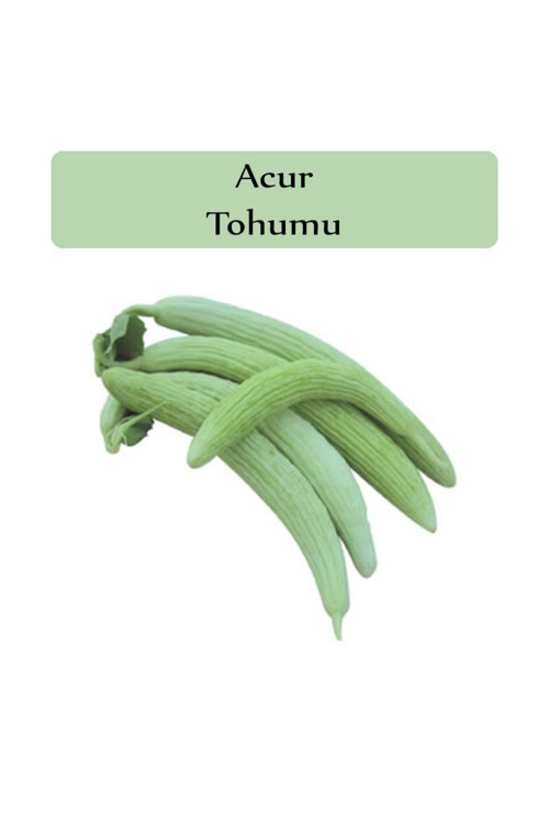 Acur Tohumu 1 Paket Kapalı Paket Tohum Acur Tohumu