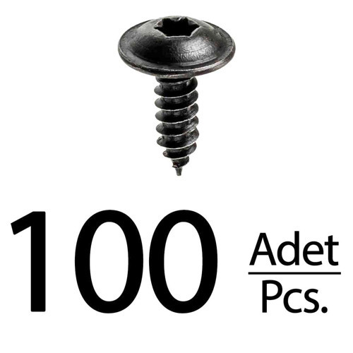 Renault Peugeot Citroen Skoda Fiat Seat için Torx (Tork) Vida Klips - 100 Adet