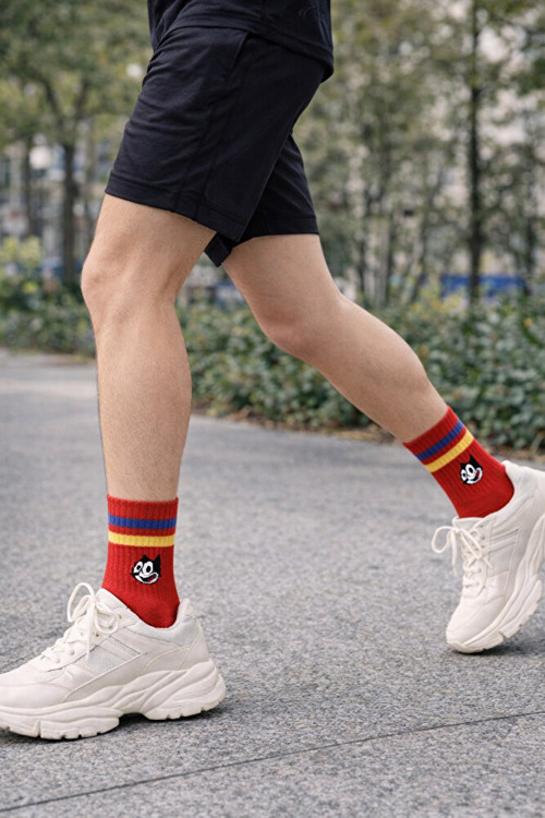 Unisex Sevimli Karekterli Kolej Çorap 2'li Paket