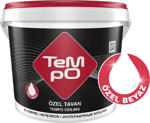 Filli Boya Özel Tavan