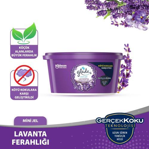 Hava Tazeleyici Jel, Mini Jel Oda Kokusu, Lavanta Ferahlığı, 70 g