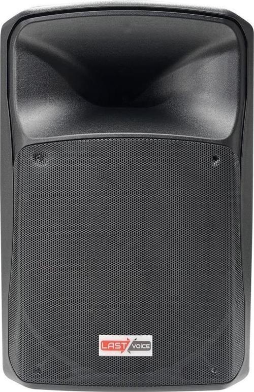 Lx-15yn Profesyonel Kabin Hoparlör 15'' 1000 Watt