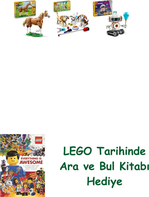 ® Creator Seti 183 (31166 + 31137 + 31164) + Ara Ve Bul Kitabı Hediye