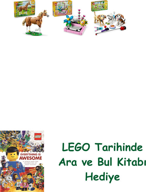 ® Creator Seti 192 (31166 + 31169 + 31137) + Ara Ve Bul Kitabı Hediye